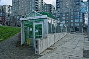 Mark Dion - Neukom Vivarium